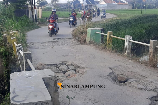 Lapor Pak Bupati Lamsel ! Warga Sidosari Keluhkan Jalan dan Jembatan Rusak