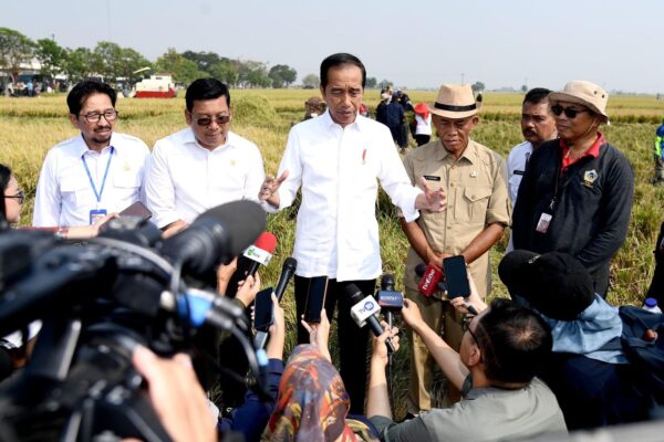Jokowi Harap Panen Raya Padi Tahun Ini Tambah Cadangan Beras Nasional