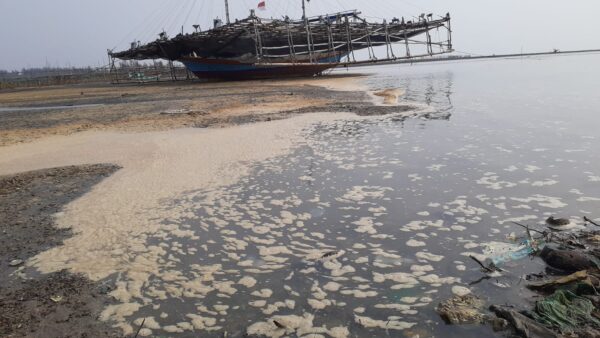Diduga Limbah PLTU Banten 2 Labuan Cemari Lingkungan Pesisir Pantai 