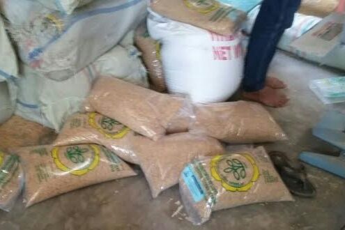 Marak Benih Padi Palsu Polda Lampung Segera Turun