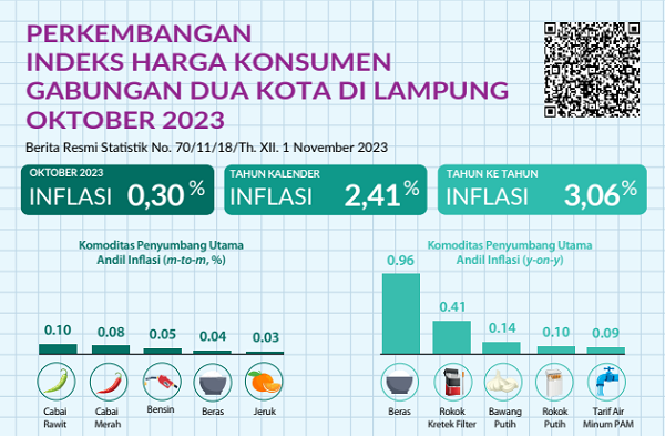 Bukan Beras, Tetapi Komoditi Ini yang Jadi Penyumbang Utama Inflasi Oktober 2023 (m-to-m) di Lampung