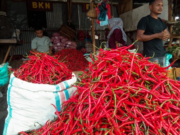 Update Harga Komoditas Lampung Hari Ini: Cabai Merah Keriting dan Minyak Goreng Kemasan Naik
