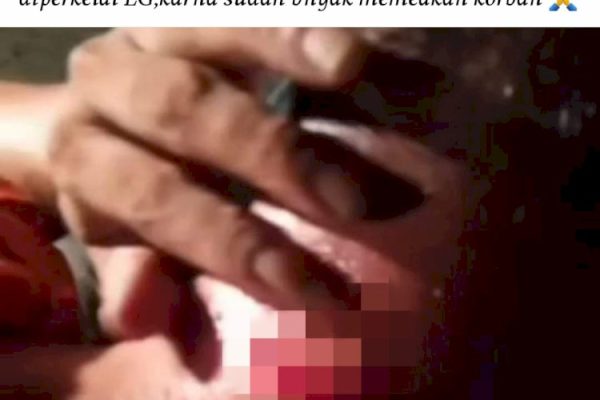 Viral di Facebook Kabar Begal Berkeliaran di Jalan Tol Ruas Tegineneng