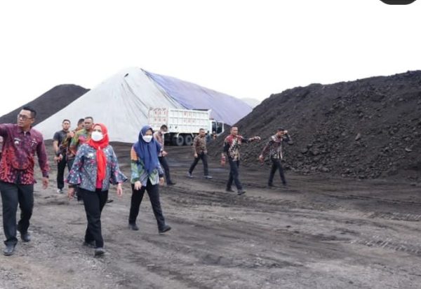 Stockfile Baru Bara PT SME dan GML Bandel, Walikota Geram Tegas Perintahkan Tutup