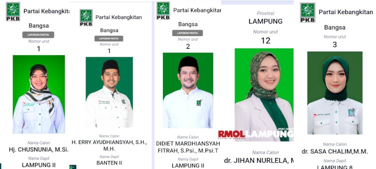 Ini Laporan LADK Caleg Nunik And Brothers?