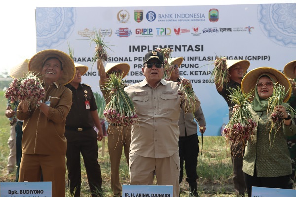 Lampung Berjaya Petani Sejahtera: Rekor NTP Tertinggi di Era Gubernur Arinal