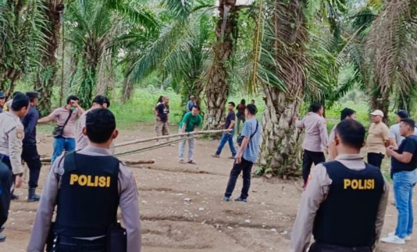 Didatangi Polisi, Arena Judi Sabung Ayam di Selagai Lingga Nihil Pemain