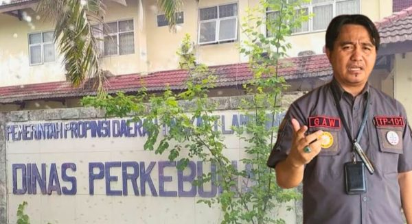 Tudingan LSM Dinilai salah, Kadisbun Lampung beri Somasi dan Klarifikasi