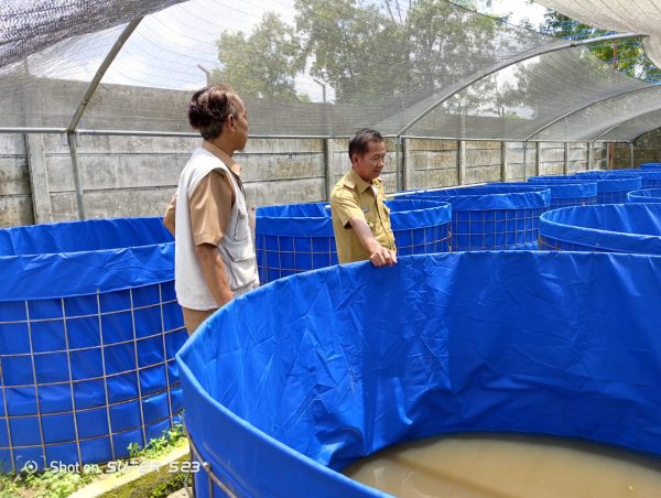 Dugaan Permainan Sejumlah Belanja Barang dan Jasa Dinas Perikanan Tubaba Tahun 2023 Menguat