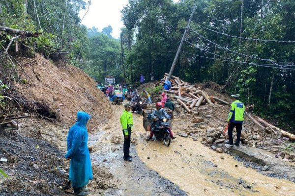 Jalan Lintas Liwa-Krui Sempat Lumpuh Kini Bisa Dilalui