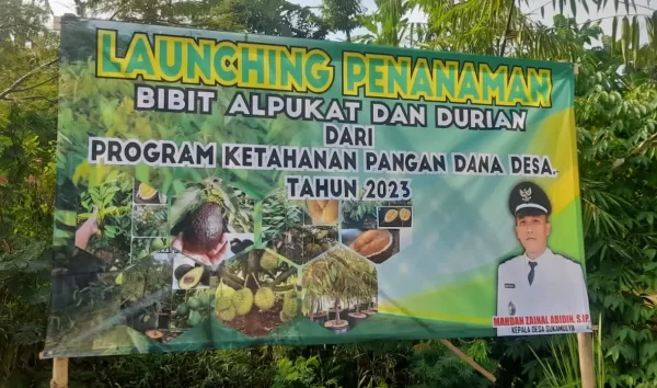 Dugaan Korupsi Pengadaan Bibit Rp2,1 Miliar Dishut Lampung Gamapela Minta BPK RI Audit Proyek dan Laporkan Kejagung