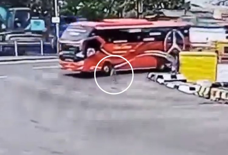 Kejar Bus Minta Klakson Telolet Balita Tergilas Bus di Dermaga Eksekutif Pelabuhan Merak