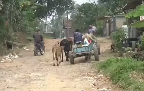 Kondisi Jalan Yang Viral Oleh Selebgram Ummu Hani Sambil Mandi di Lumpur Rusak Sejak 2019