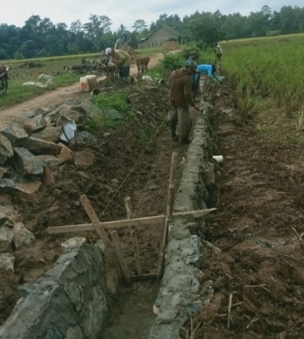 Tak Terealisasi Penuh, Anggaran Proyek Irigasi Desa Mekarsari Lamsel Dipertanyakan