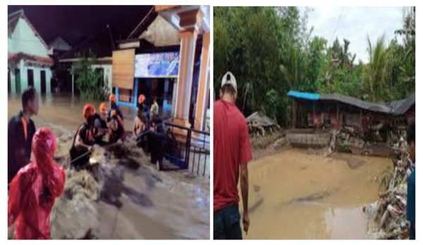 Banjir Terjang 6 Desa di Tanggamus, 7 Warga Terjebak Hingga Puluhan Ternak Hilang Kerugian Capai Ratusan Juta