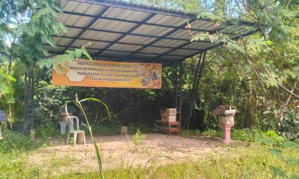 Sempat Jadi Percontohan Provinsi Lokasi Budidaya Lebah Madu Klanceng dan Taman Kura-kura Milik Dinas Peternakan Tulang Bawang Barat Terbengkalai?