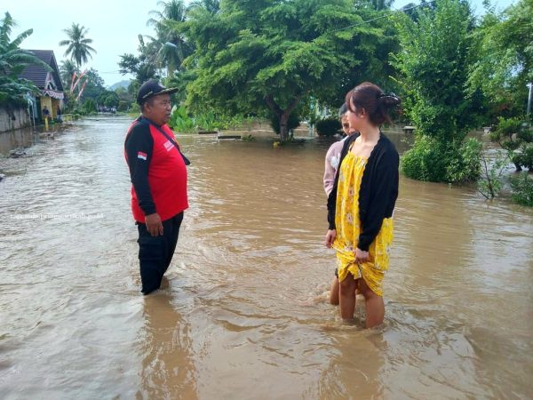 Tiga Pekon Pringsewu Terendam Banjir Way Tebu Kiriman Tanggamus
