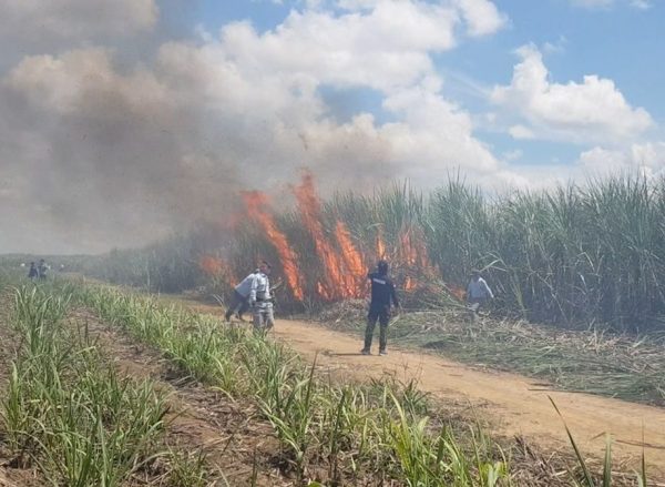 KPK Mulai Garap Korupsi Pergub Izin Panen Tebu Dibakar Dua Pejabat Pemrov Lampung Diperiksa