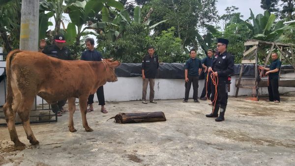 Juleha Lampung Paparkan Panduan Teknis Penyembelihan Hewan Qurban