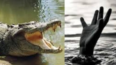 Warga Purnomo Hilang Di Mangsa Buaya Way Semaka