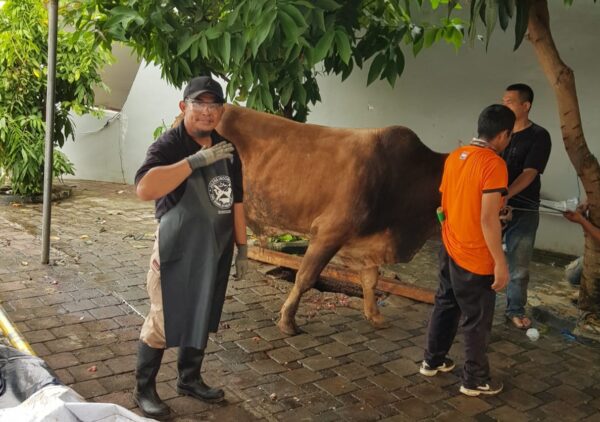 Sebaran Juleha Lampung Pada Idul Adha 1445 H