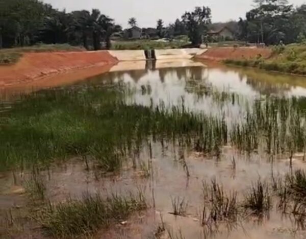 Proyek Embung Tiyuh Indraloka II Way Kenanga Tulang Bawang Barat Rp541 Juta Asal Jadi dan Mubajir