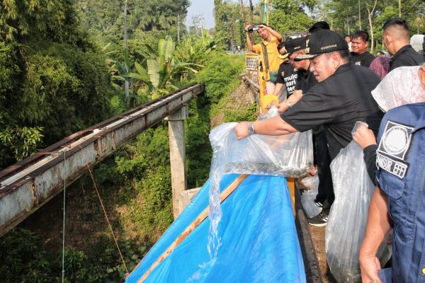 Lestarikan Ekosistem Sungai, Arinal Tebar Benih Ikan di Way Sesah Kota Alam