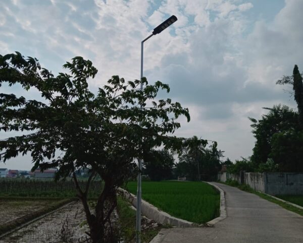 CV Anugrah Jaya Diduga Mark Up Pengadaan Lampu Panel Surya di Pringsewu