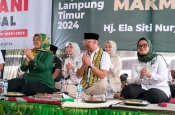 PKB Rekom Ela Siti Nuryamah Maju Calon Bupati Lamtim
