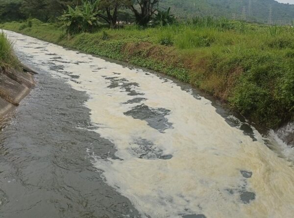 Limbah PLTU Sebalang Diduga Cemari Laut Pesisir Sebalang?