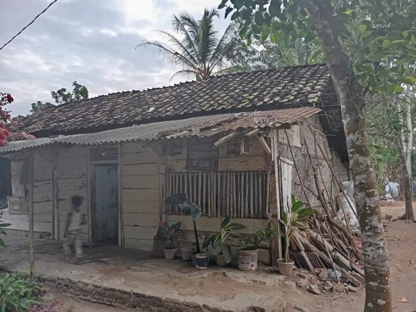 Pemerintah Harus Buka Mata, Respiyanah Warga Karang Pucung Lamsel Tinggal di Rumah Tak Layak Huni