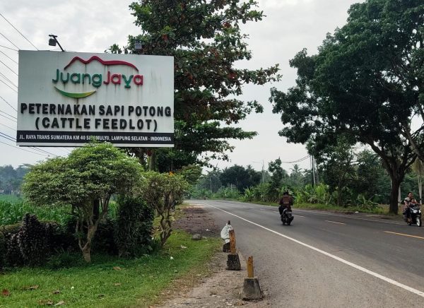 Puluhan Tahun PT Juang Jaya Abdi Alam Beroperasi Dan Cemari Sungai Way Bungur, DLH Baru Ambil Sampel?