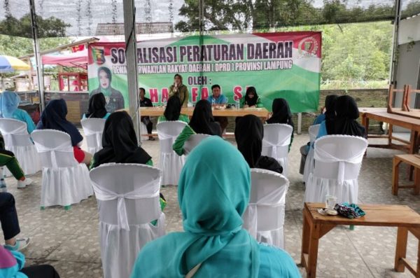 Anggota DPRD Lampung Beri Solusi Ketika Ada Konflik