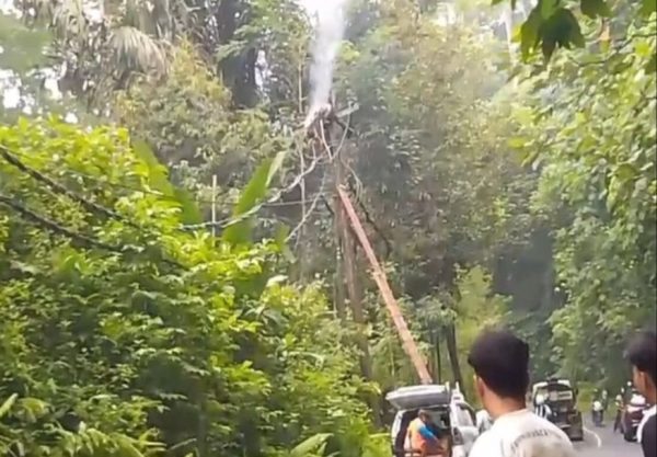 Petugas PLN Tewas Dan Hangus Saat Perbaiki Jaringan Listrik Tegangan Tinggi di Jalan Lintas Barat