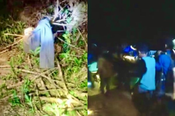 Lagi, Kabar Petani di Lampung Barat Diterkam Harimau TNBBS