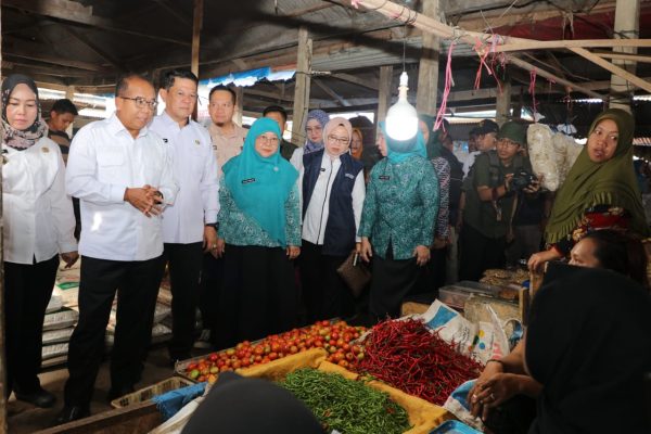 Pj Samsudin Tinjau Pasar Murah dan Posyandu di Tubaba