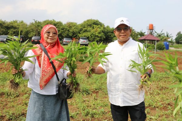 Pj Samsudin Ajak Masyarakat Ramaikan Wisata Kebun PKK Agropark