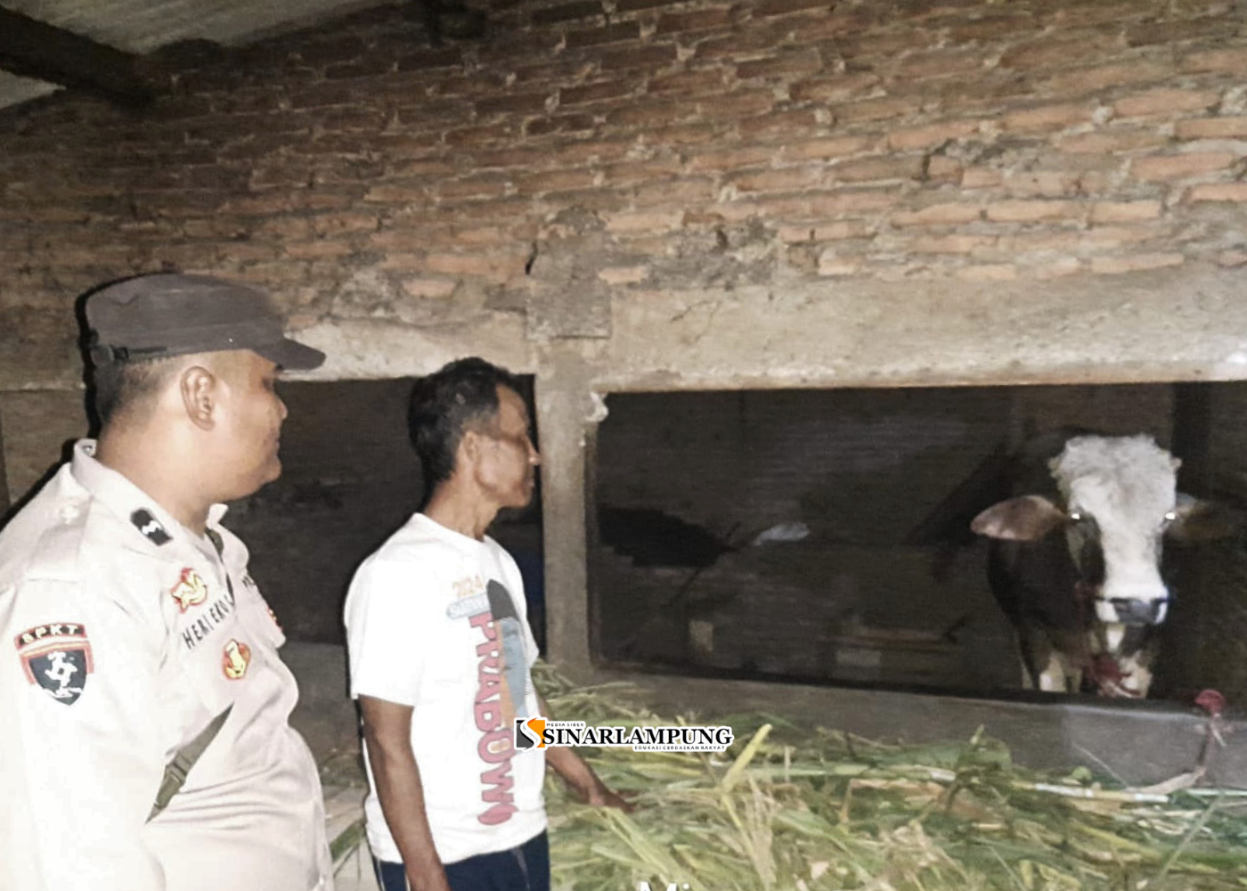 Marak Pencurian Ternak, Polisi Imbau Warga Antisipasi