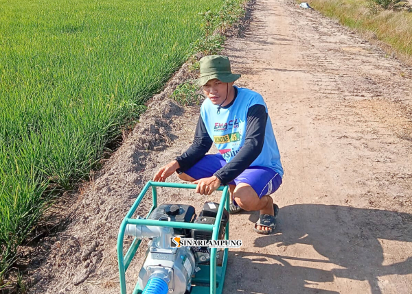 Atasi Kekeringan, Dinas Pertanian Tulang Bawang Bagikan Ratusan Pompa Air