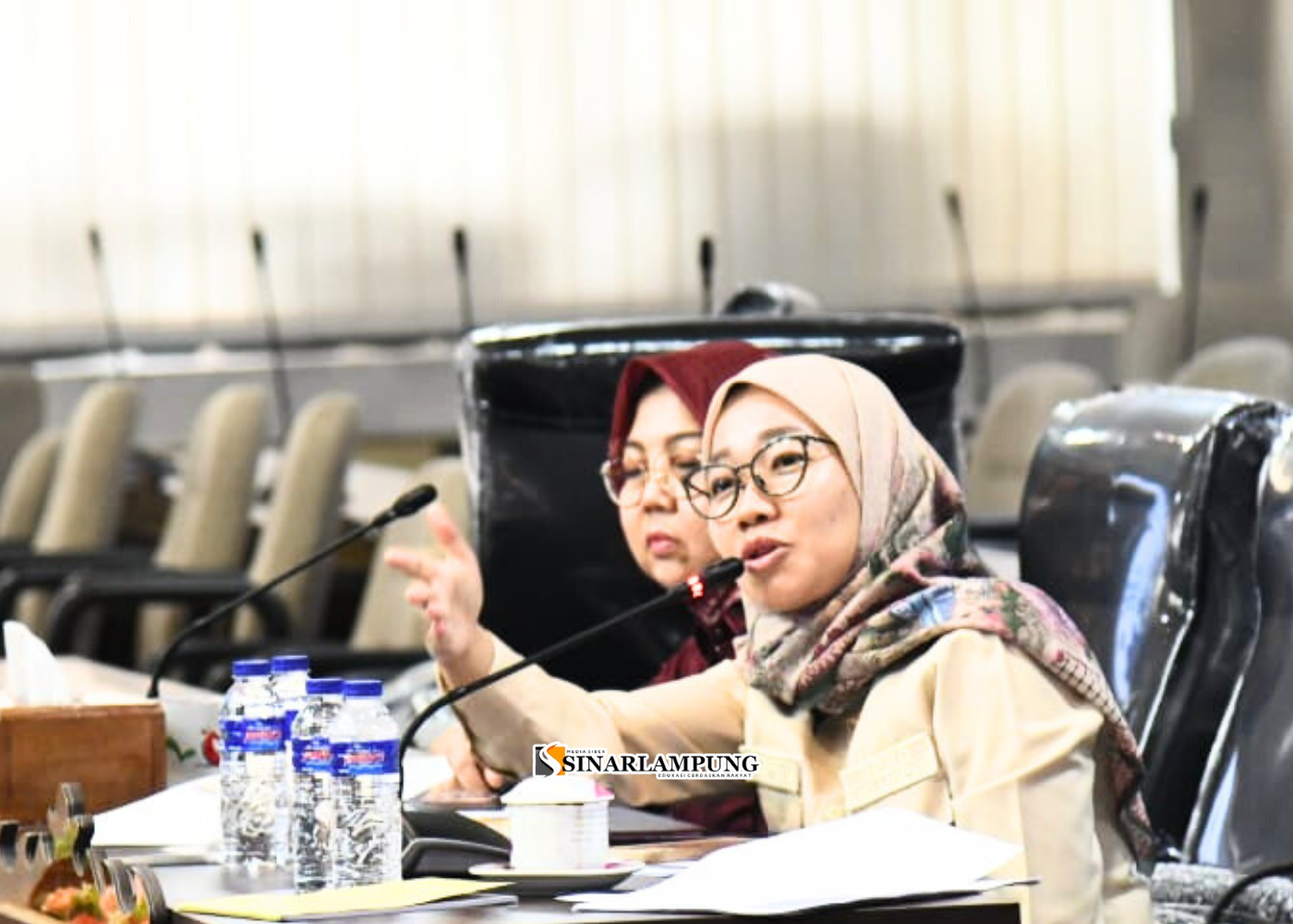 Ketua Fraksi PDI Perjuangan Soroti Kekerasan Perempuan dan Anak di Lampung