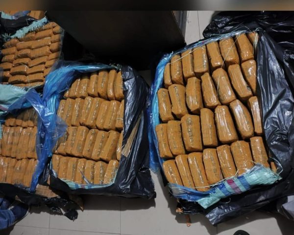 Polda Lampung Gagalkan Penyelundupan 159 Kilogram Ganja Asal Sumatera Barat