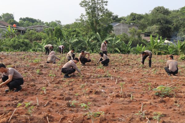 Polres Way Kanan Manfaatkan Lahan Kosong Dukung Ketahanan Pangan Nasional