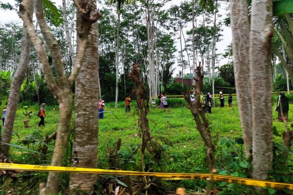 Bocah Kelas 1 SD di Banyuwangi Diperkosa Dan Dibunuh Jasad Bersibah Darah di Semak Dekat Rumah. Menteri PPPA Minta Pelaku Segera Ditangkap