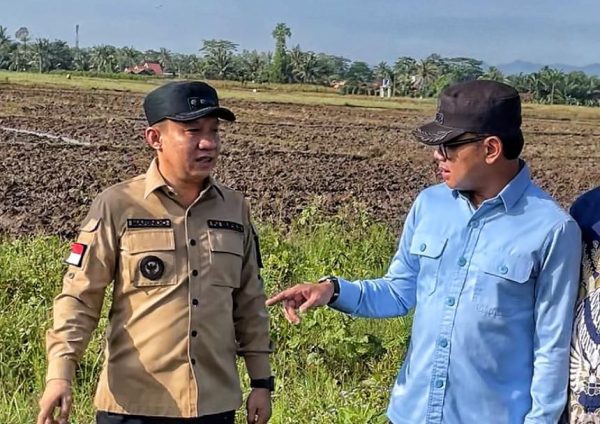 Pj. Bupati Pringsewu Dampingi Wamendagri Pantau Irigasi Pertanian Pekon Lugusari