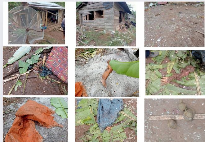 Gajah Liar Mengamuk Petani di Tanggamus Tewas Tragis