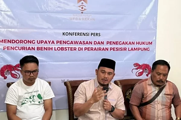 Sengkarut Benih Lobster, Anggota DPRD Lampung Minta Kapolres Pesibar Dievaluasi