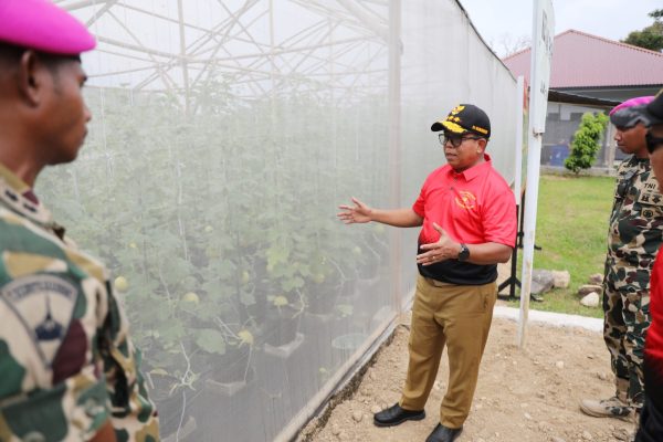 Pj Gubernur Samsudin Kunjungi Budi Daya Melon Hasil Tanaman Prajurit Korps Marinir Brigif 4 Mar/BS, Padang Cermin, Pesawaran