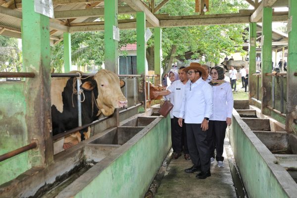 Samsudin Tinjau Sarana dan Prasarana Balai Inseminasi Buatan dalam Memproses Semen/Mani Sapi Beku di UPTD BIBD Disnak Keswan di Terbanggi Besar