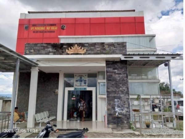 Ketua PWRI Pesawaran Minta Kejari Selidiki Penggunaan Anggaran Dana BOX Puskesmas Gunung Sari dan Kedondong