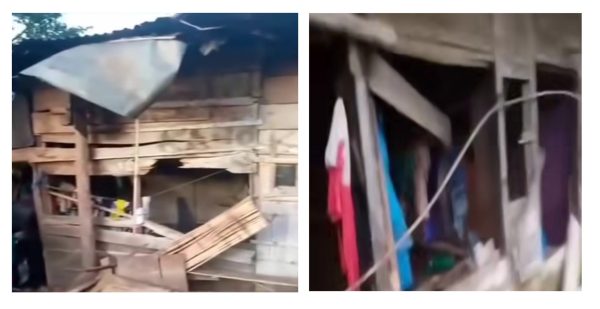 Lagi, Gajah Ngamuk Rusak 7 Rumah Warga di Tanggamus